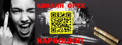 Альфа ПВП Моздок
