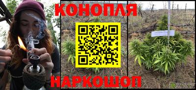 Альфа ПВП Моздок