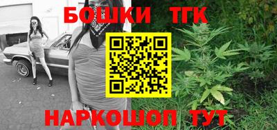 apvp Можга