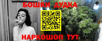 apvp Можга