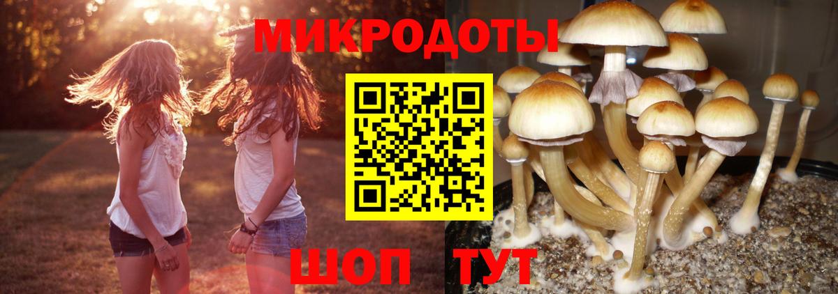 Галлюциногенные грибы GOLDEN TEACHER Великие Луки