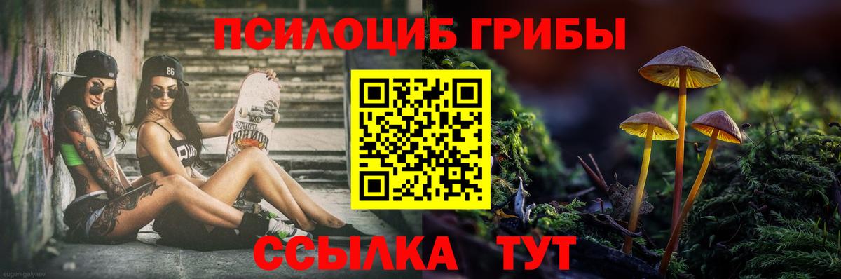 Галлюциногенные грибы мухоморы  Псилоцибиновые грибы Psilocybe  Великие Луки  Вход с VPN 